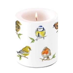 Candle MEDIUM - Bird Species WHITE