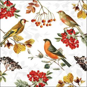 Lunch Napkin - Autumn Birds
