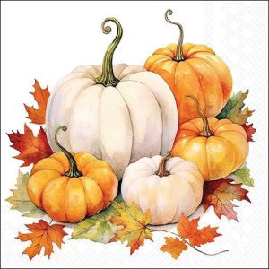 Lunch Napkin - Pumpkin Season
