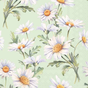 Cocktail Napkin - Beautiful Daisies GREEN