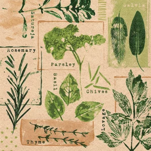 Lunch Napkin - Recycled Herb Prints Nature