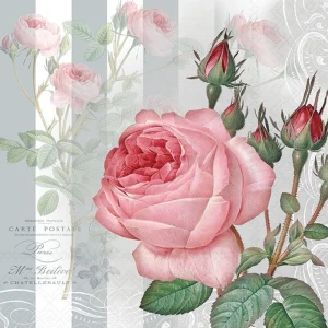 Lunch Napkin - Yara