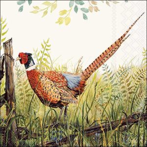 Lunch Napkin - Glorious Pheasant
