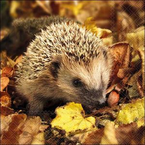 Lunch Napkin - Hedgehog In The Wild