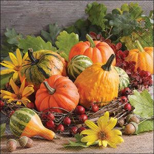 Lunch Napkin - Pumpkin Varieties