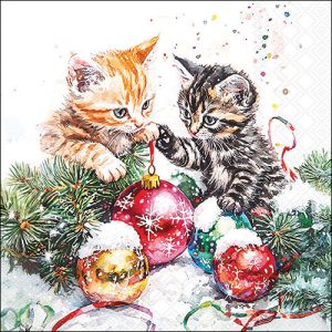 Lunch Napkin - Adorable Kittens