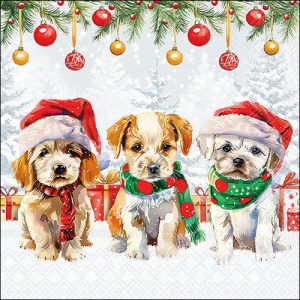 Lunch Napkin - Funny Cute Puppies