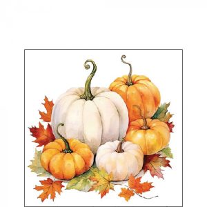 Cocktail Napkin - Pumpkin Season