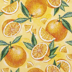 Cocktail Napkin - Pieces of Orange