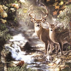 Lunch Napkin - Deer on a Creek