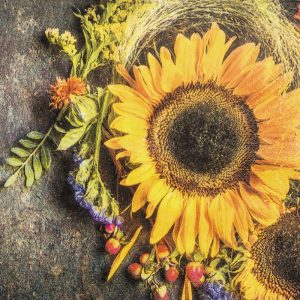 Lunch Napkin - Sunny Autumn