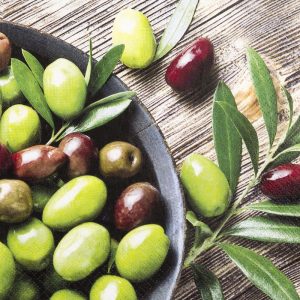 Lunch Napkin - Pure Olives