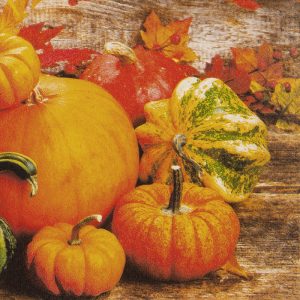 Lunch Napkin - Pumpkins