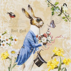 Lunch Napkin - Mr. Rabbit