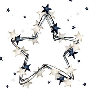 Lunch Napkin - Nordisk Star