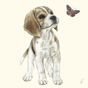 Lunch Napkin - Jean
