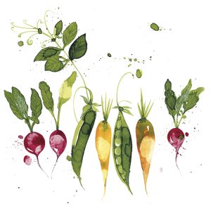 Lunch Napkin - Green Vegetable