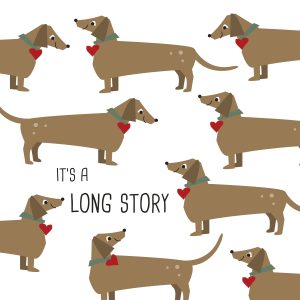 Lunch Napkin - Long Story