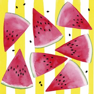 Lunch Napkin - Melon & Stripe