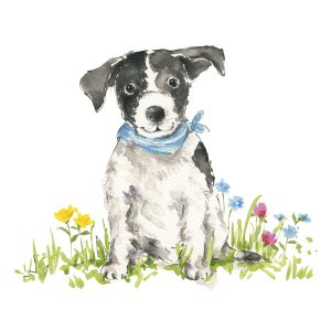 Lunch Napkin - Bobby
