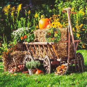 Lunch Napkin - Handcart