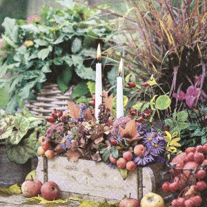 Lunch Napkin - Autumn Candles