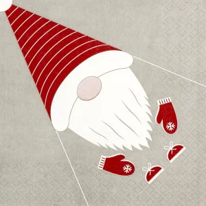 Lunch Napkin - Fold Me Gnome