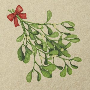 Lunch Napkin - Mistletoe Twigs RECYCLED