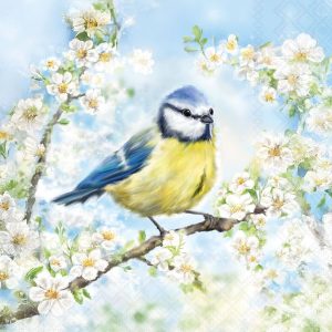 Cocktail Napkin - Blossom Time