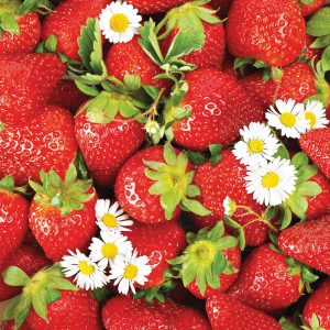 Lunch Napkin - Strawberry