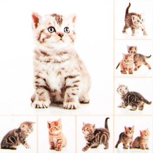 Lunch Napkin - Meow