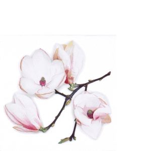 Cocktail Napkin - White Magnolia WHITE