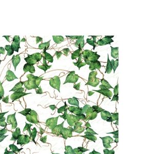 Cocktail Napkin - GREEN Ivy Branches