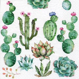 Lunch Napkin - Cactus & Succulents