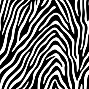 Lunch Napkin - Plains Zebra