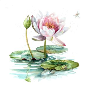 Lunch Napkin - Waterlily