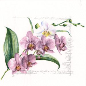 Lunch Napkin - Orchidée PINK