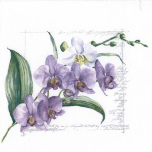 Lunch Napkin - Orchidée LILAC