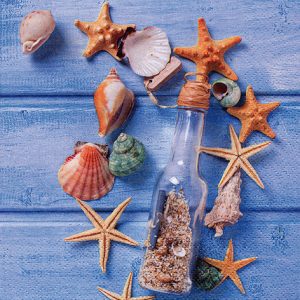 Lunch Napkin - Glas Bottle With Seashells