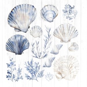 Lunch Napkin - Sea Shells