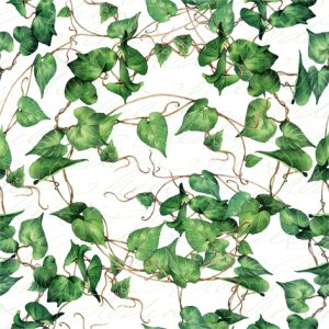 Lunch Napkin - GREEN Ivy Branches