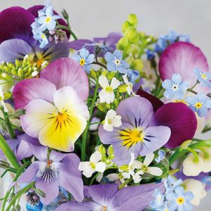 Lunch Napkin - Violets & Forget Me Not