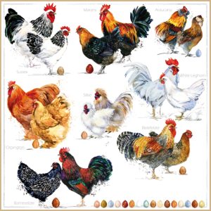 Lunch Napkin - Poulets
